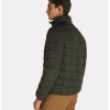 plumifero_verde-