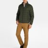 plumifero_verde-